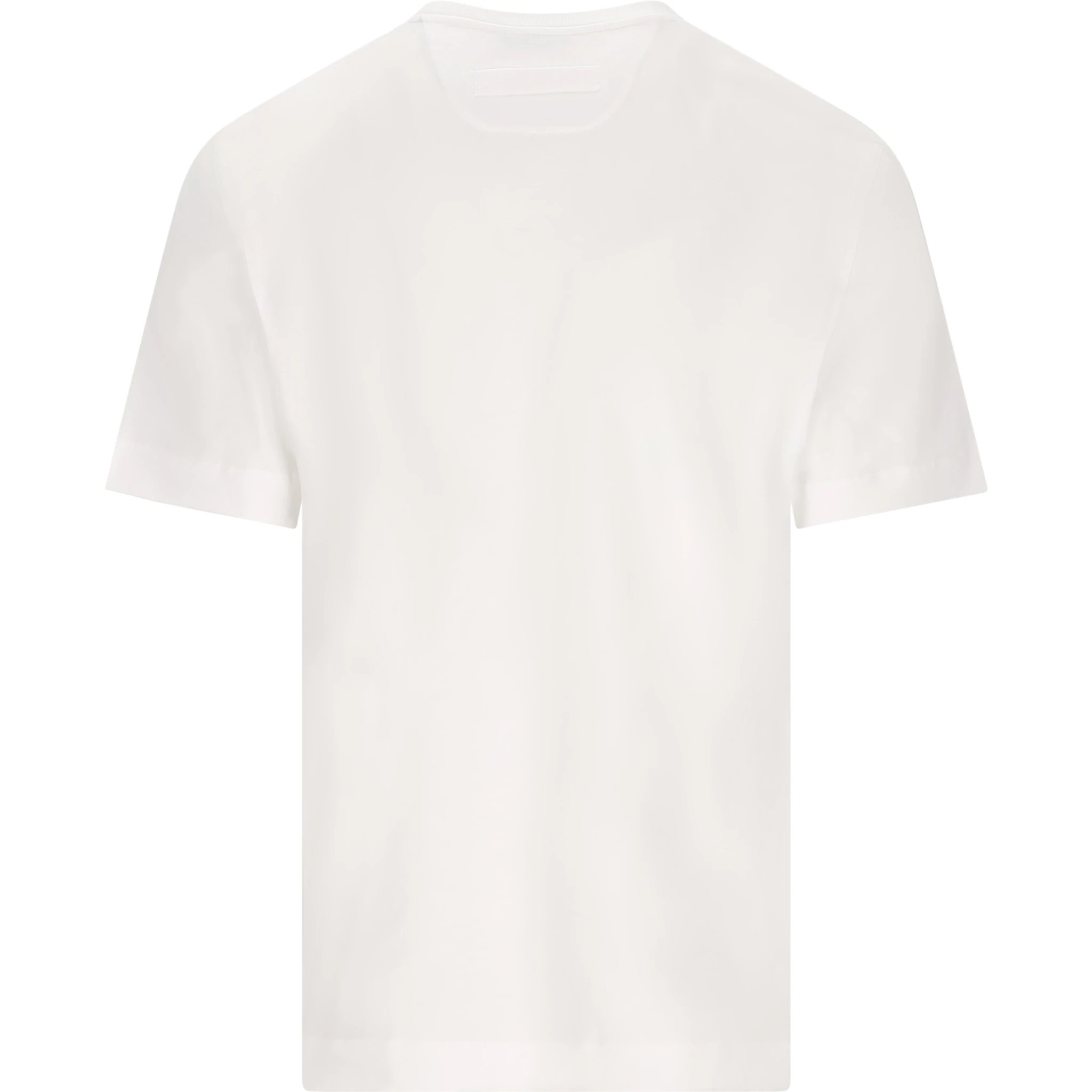 ZEGNA T-shirts and Polos