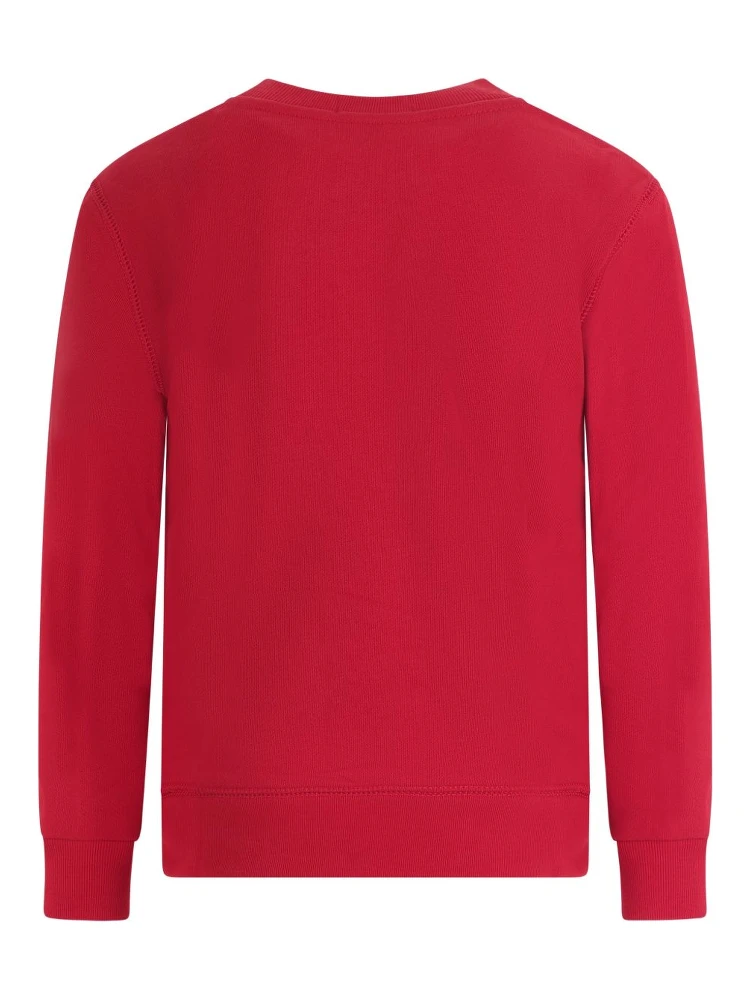 Polo Ralph Lauren Sweaters Red alternative