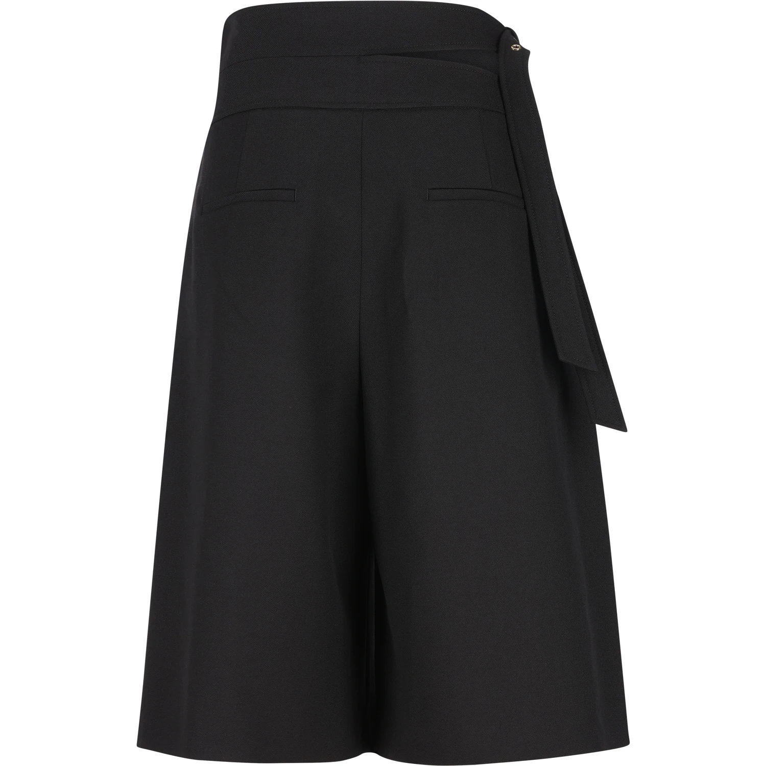 Chloè Skirts Black