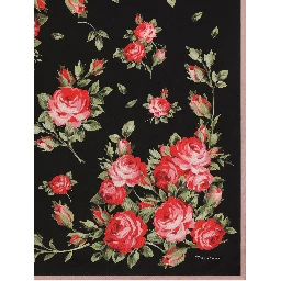 Dolce & Gabbana Scarfs Black