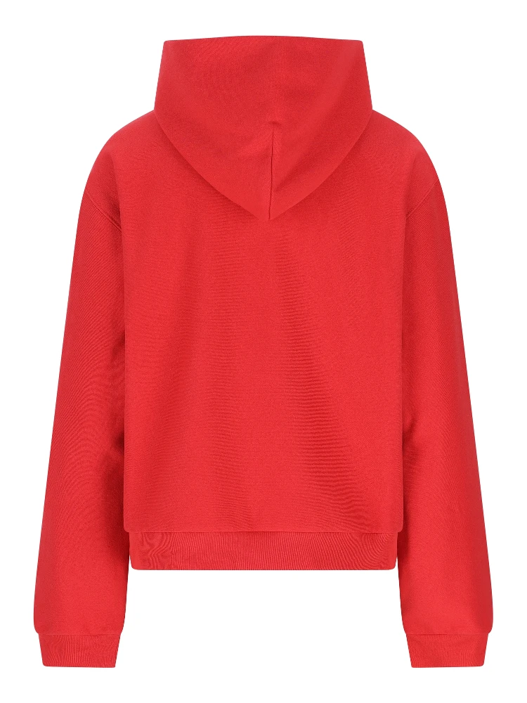Balenciaga Sweaters Red alternative