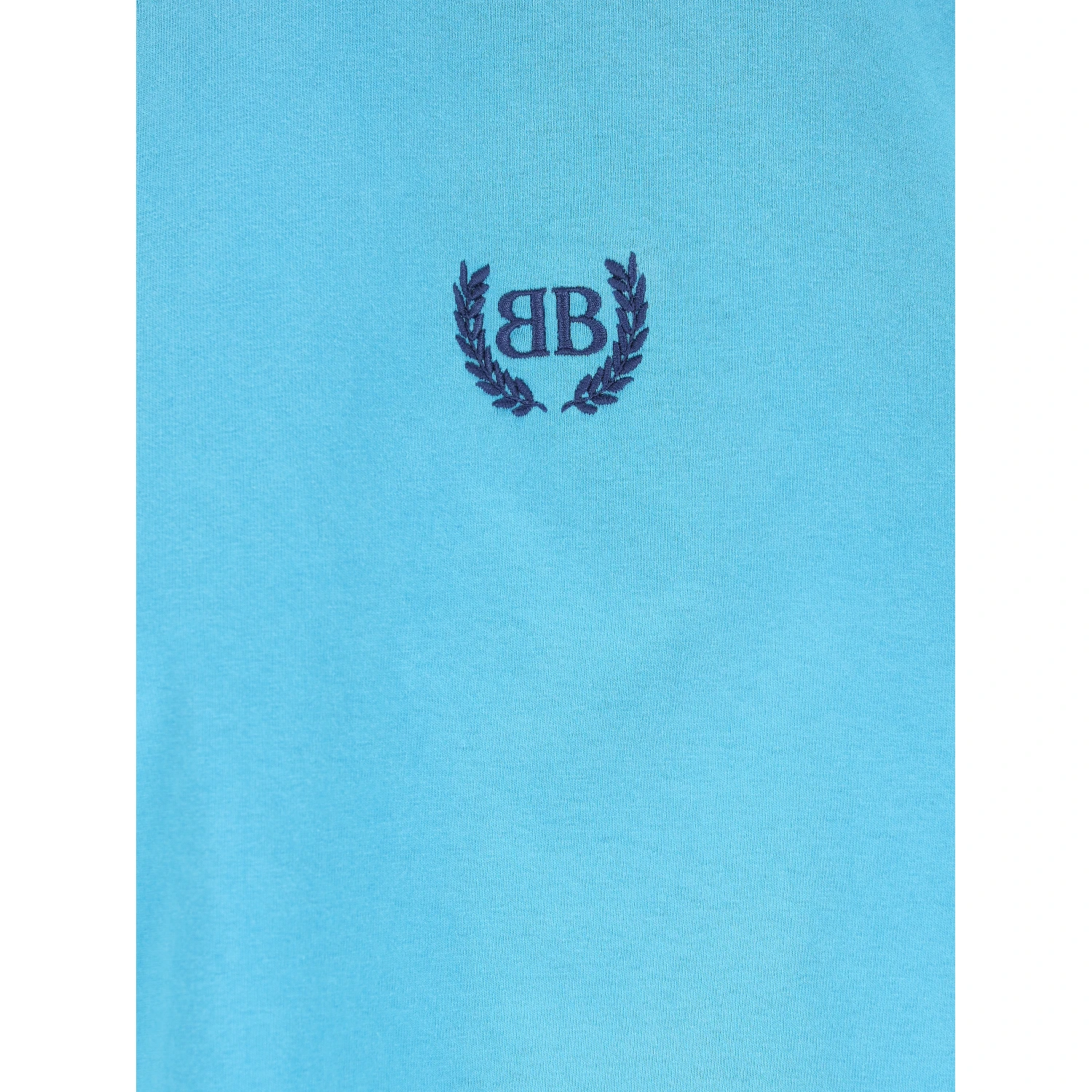 Balenciaga T-shirts and Polos