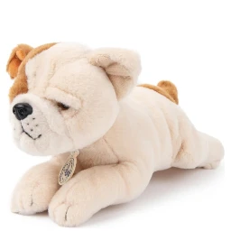the american bulldog in giftbox
