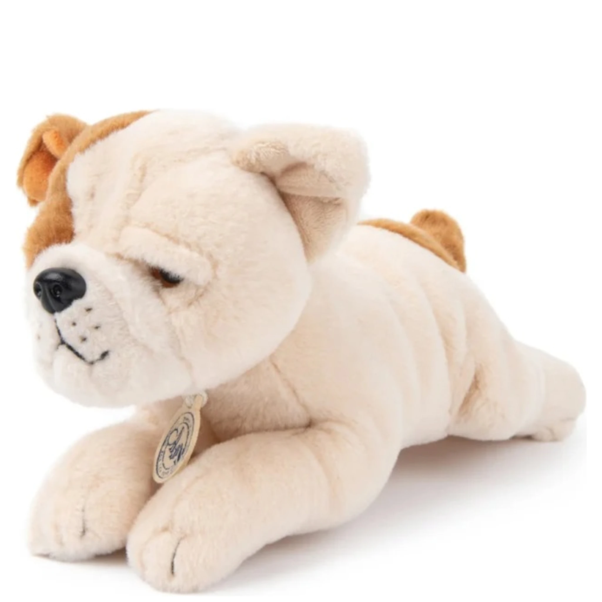 the american bulldog in giftbox
