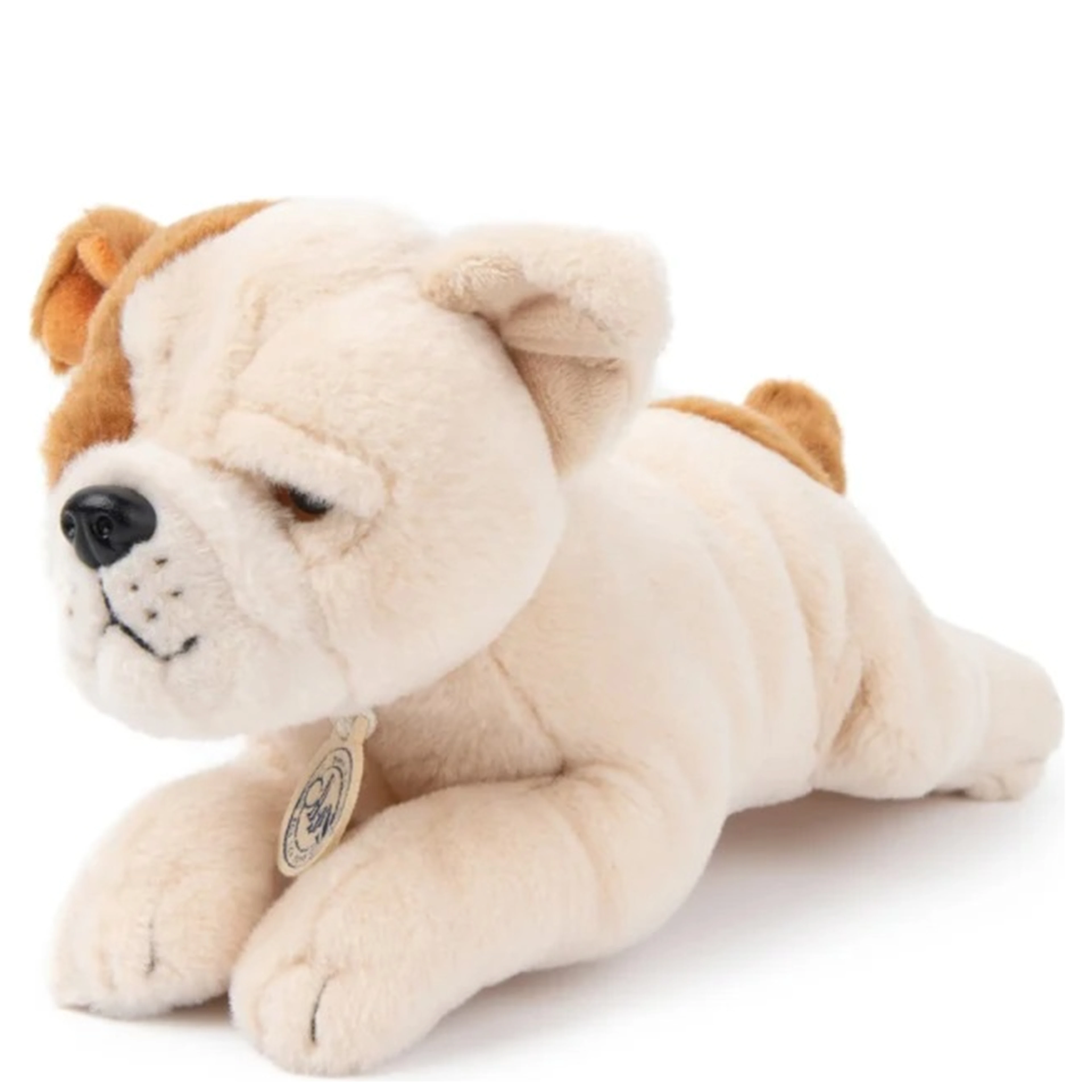 the american bulldog in giftbox