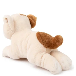 the american bulldog in giftbox