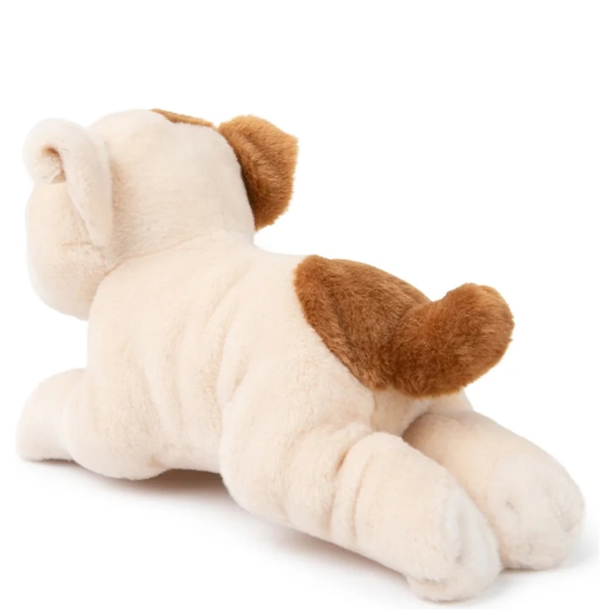 the american bulldog in giftbox