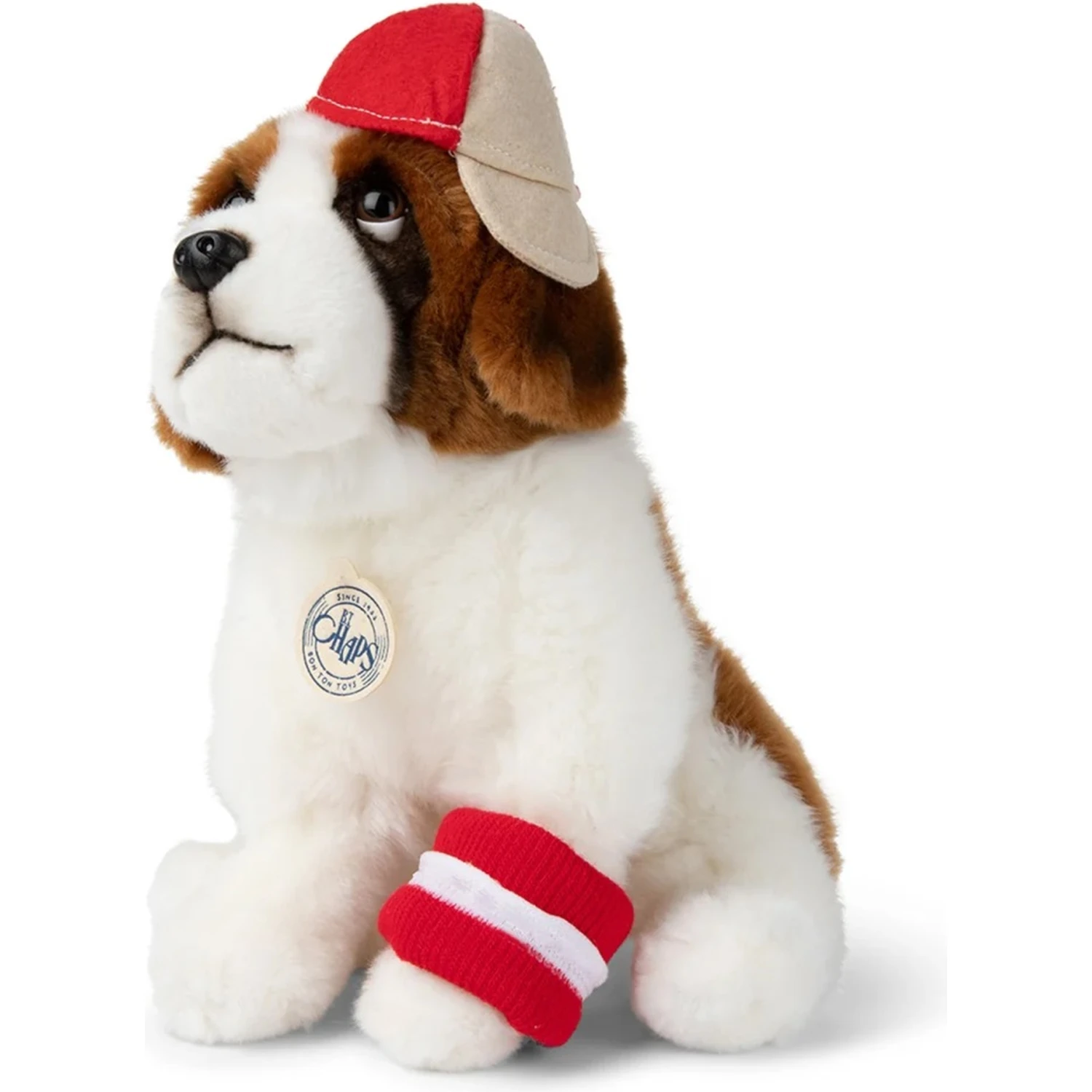the st. bernard