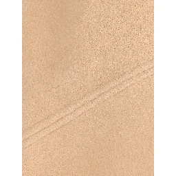 Salvatore Ferragamo Scarfs