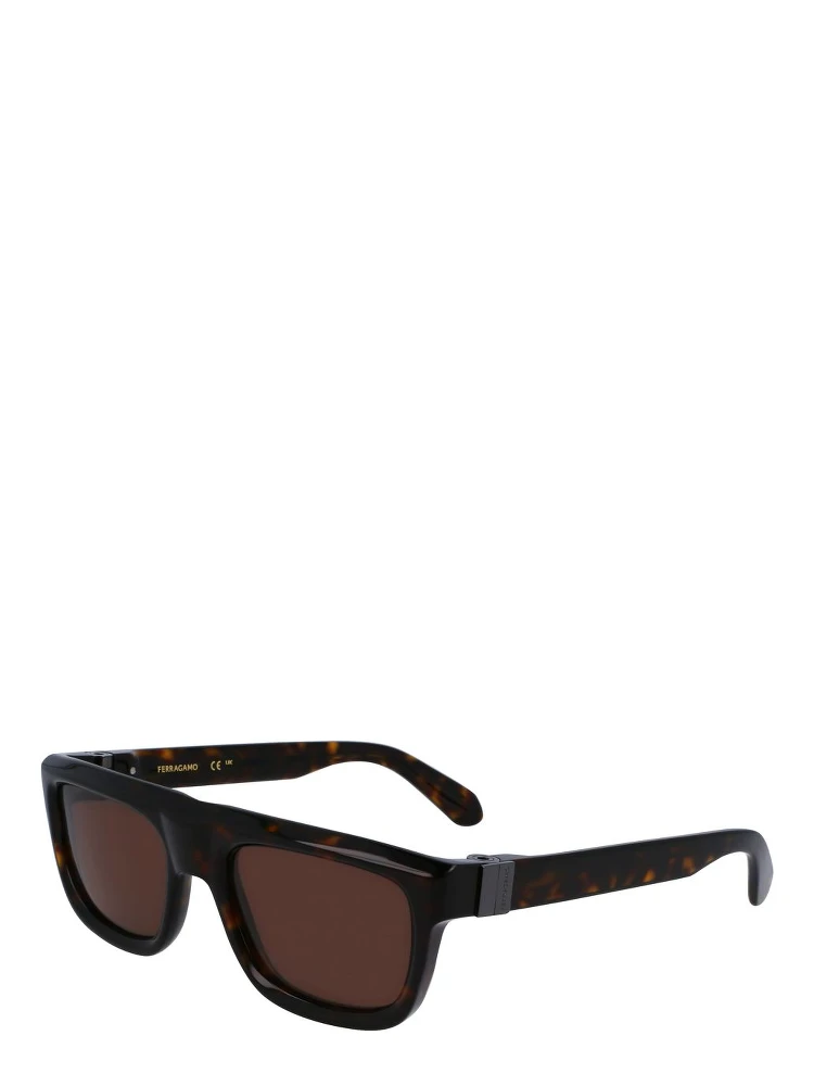 Brown Acetate Sunglasses