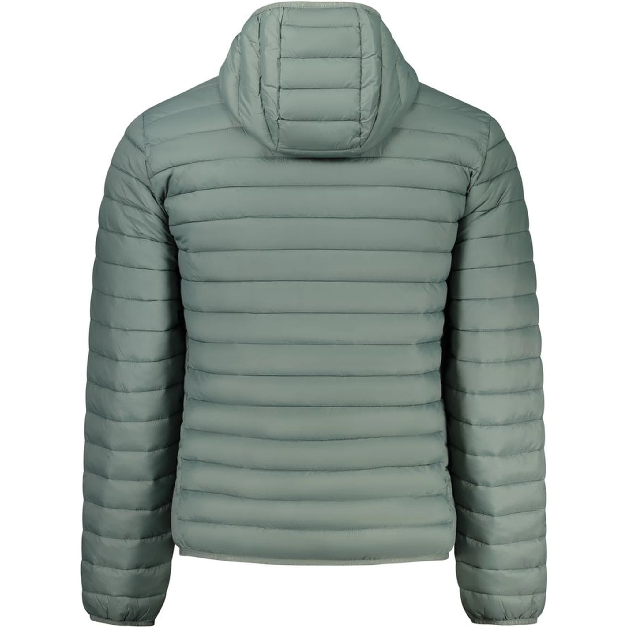 Verde Poliestere Men Jacket