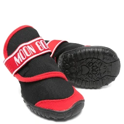 بولدو دوغ كوتور × مون بوت