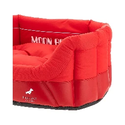 بولدو دوغ كوتور × مون بوت