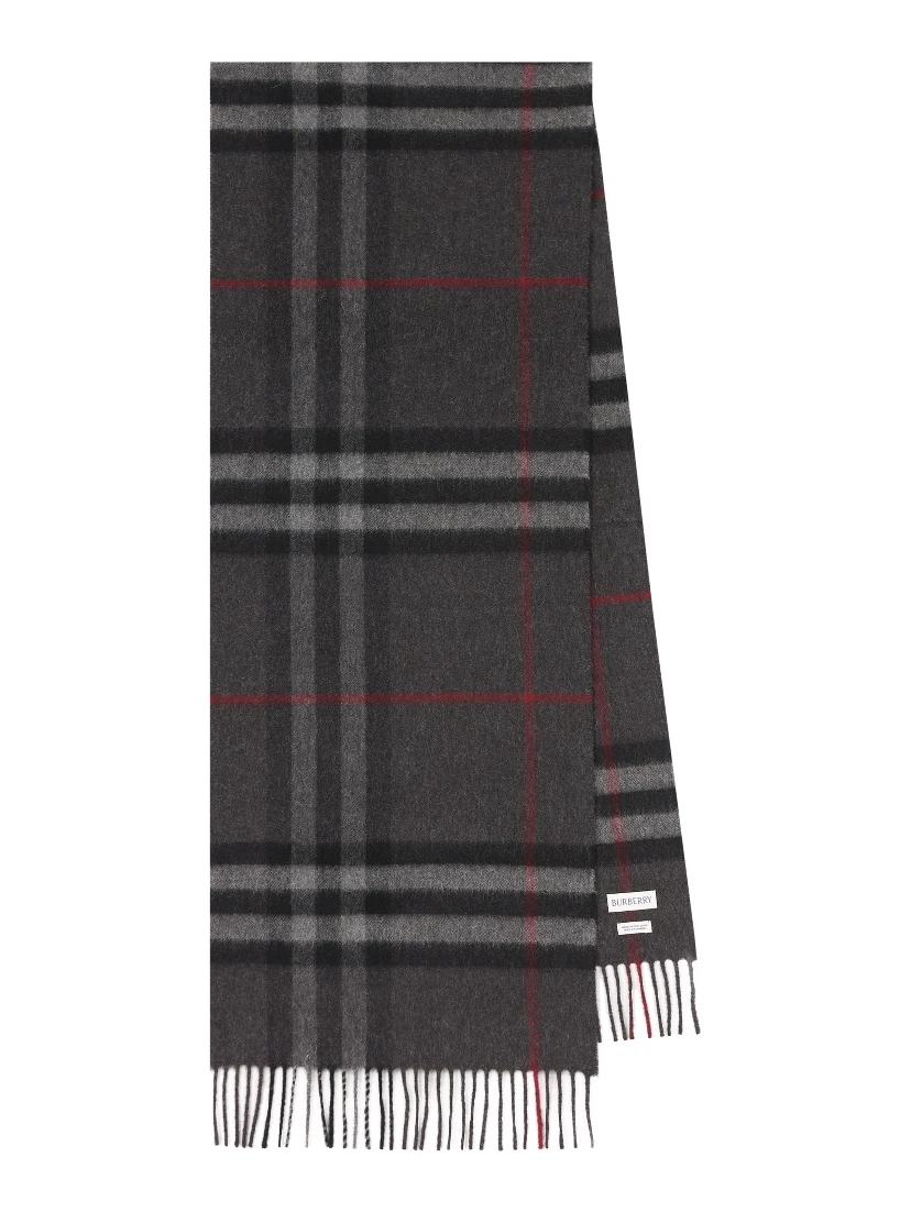 Burberry Scarfs