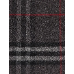 Burberry Scarfs