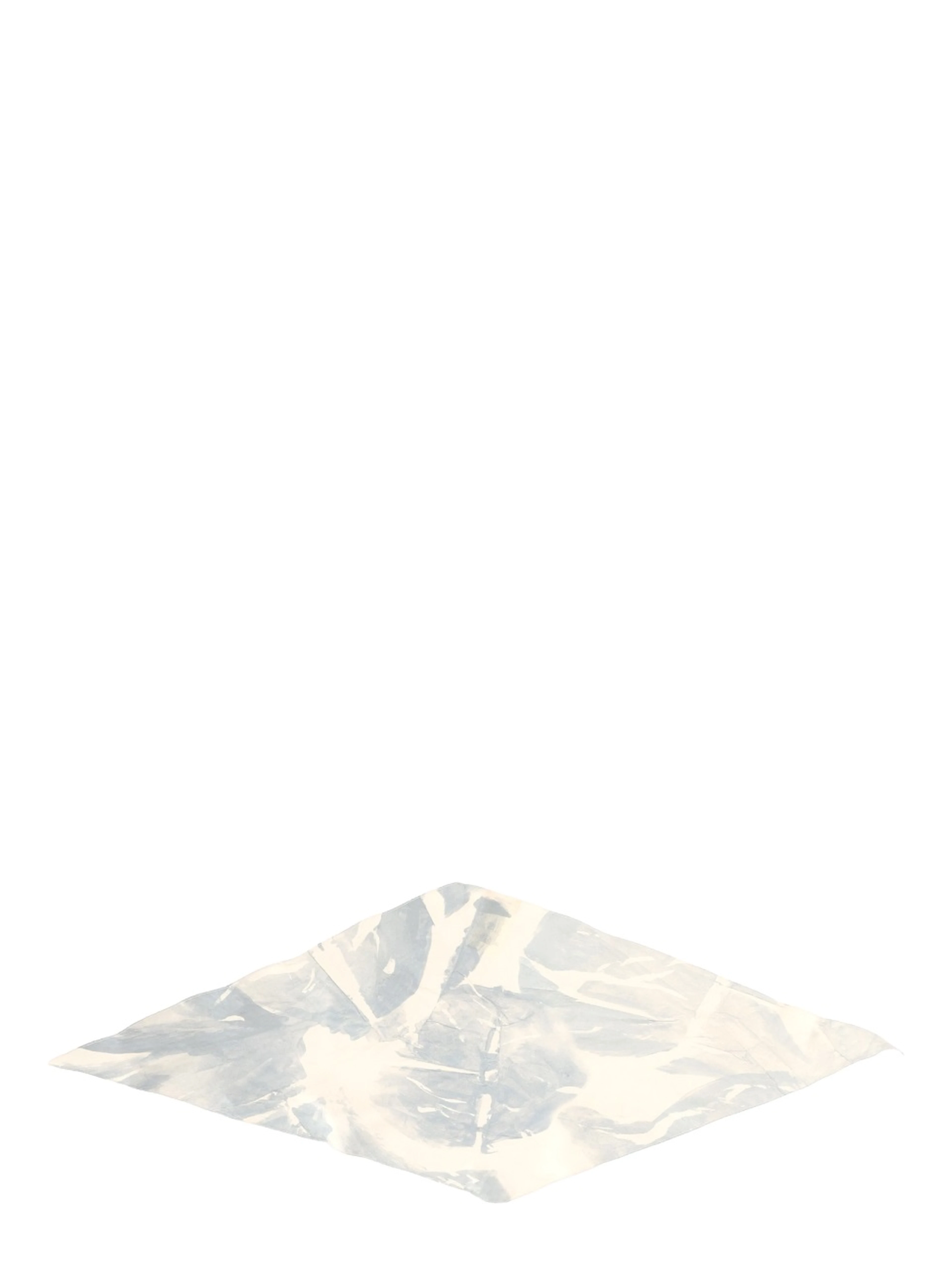 SILK SCARF