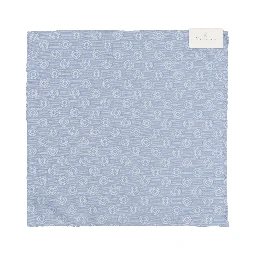 Brunello Cucinelli Scarfs Light Blue