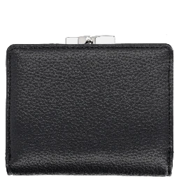 "SMALL FRAME" PORTFOLIO