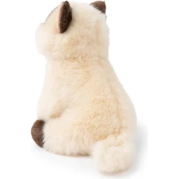 the siamese in giftbox