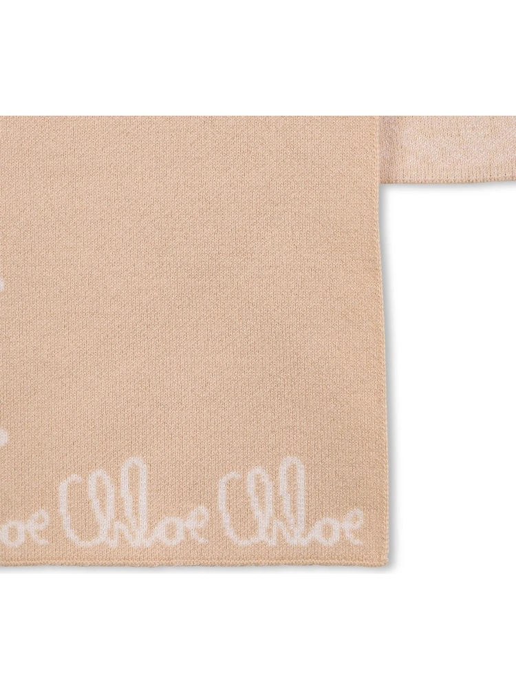 SCARF WITH LOGO alternative