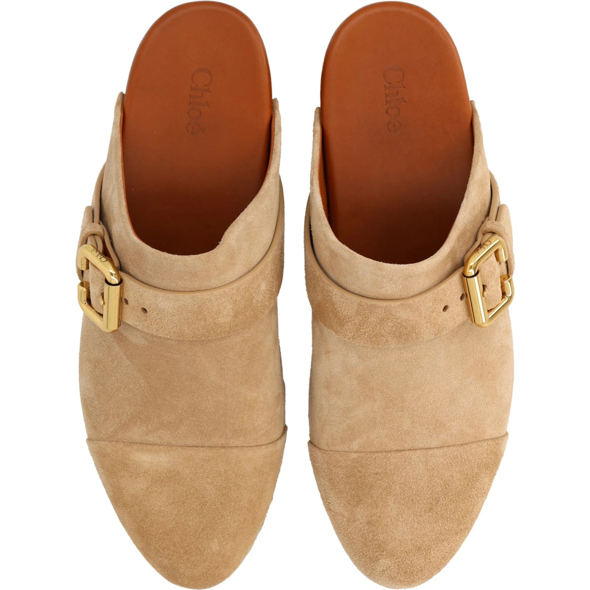 MULE "JEANNETTE"