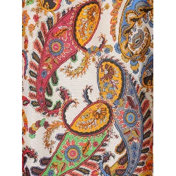 Etro Shirts MultiColour