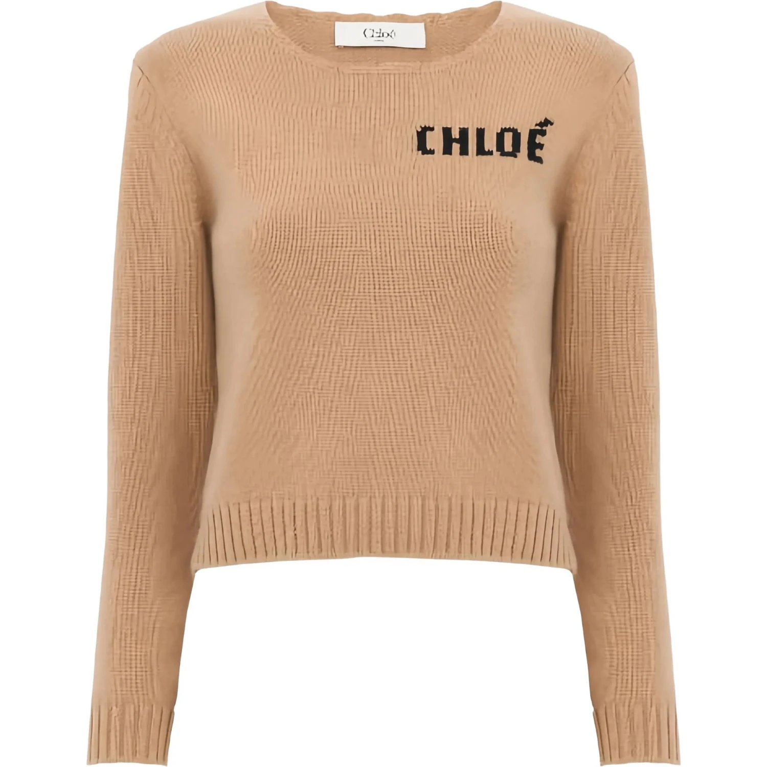 Chloè Sweaters Brown