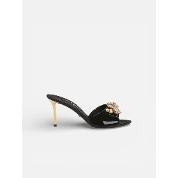 شباشب دولتشي آند غابانا