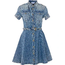 Alexander McQueen Dresses Blue