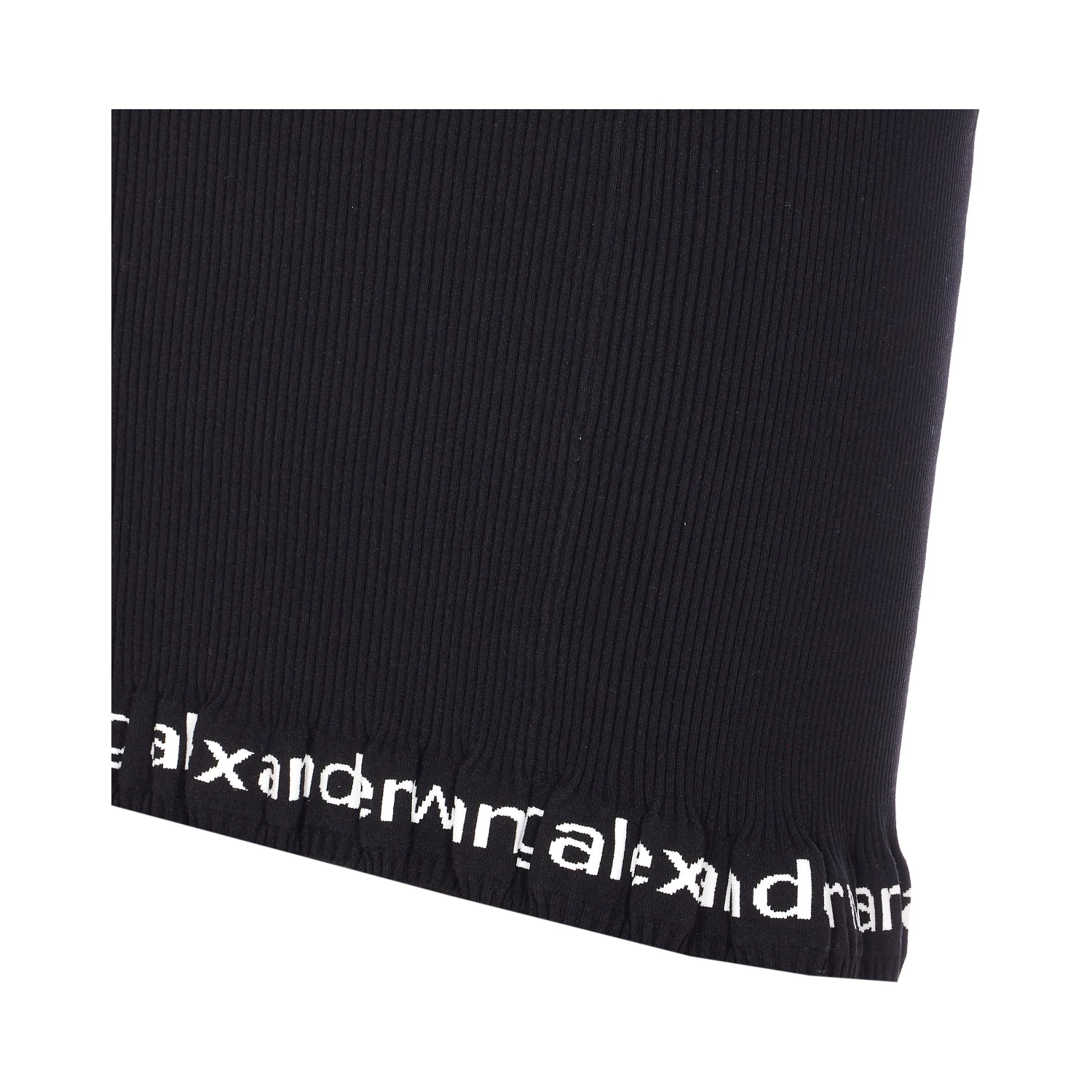 Alexander Wang Skirts Black