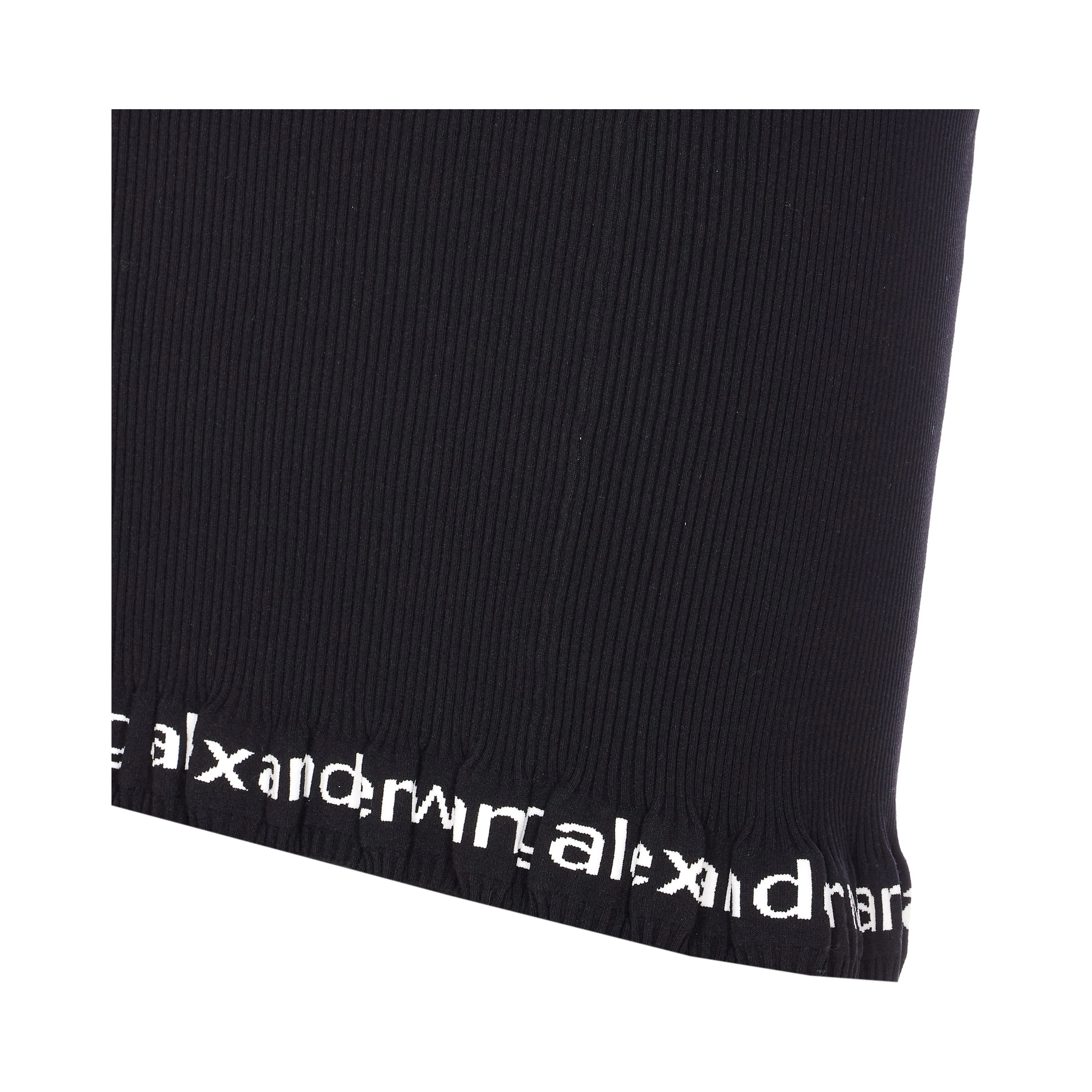 Alexander Wang Skirts Black