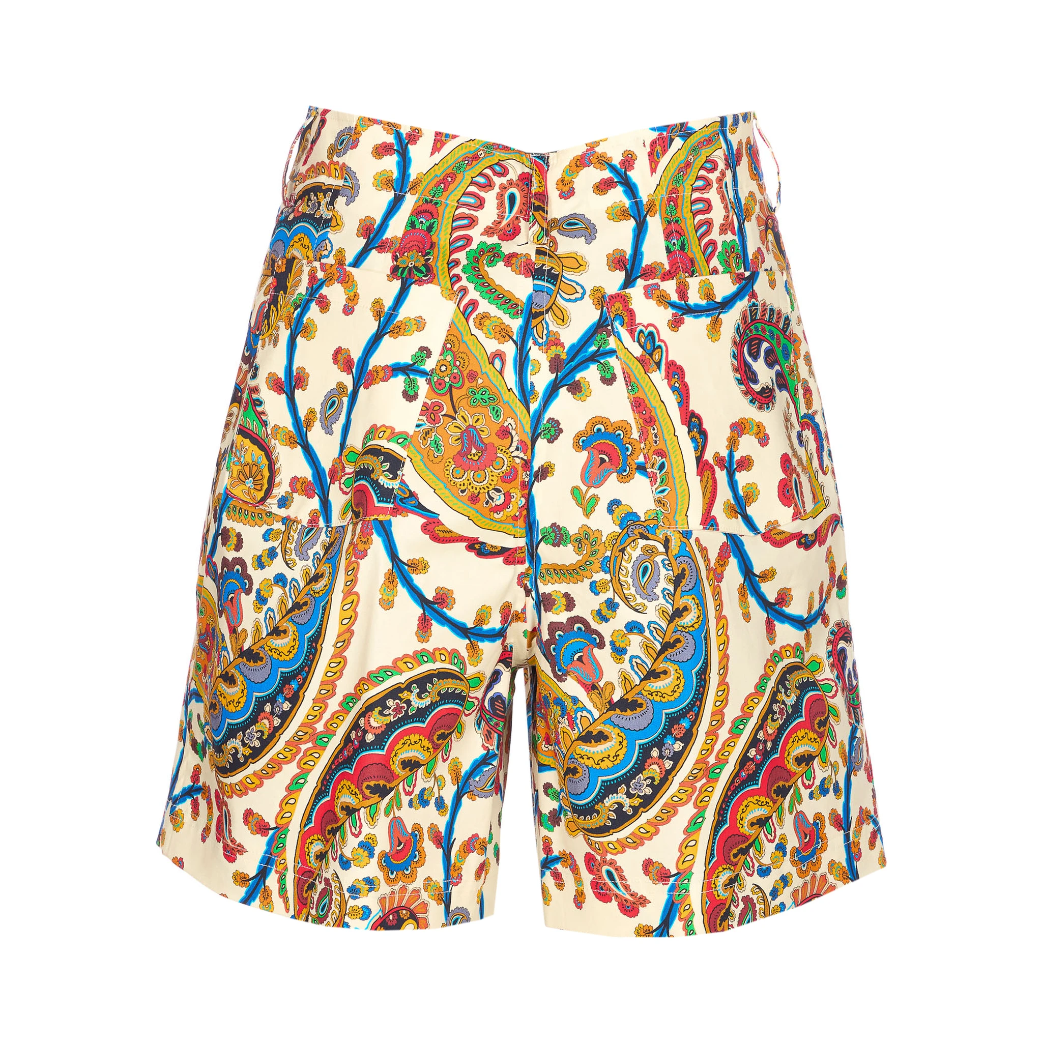 Etro Shorts MultiColour