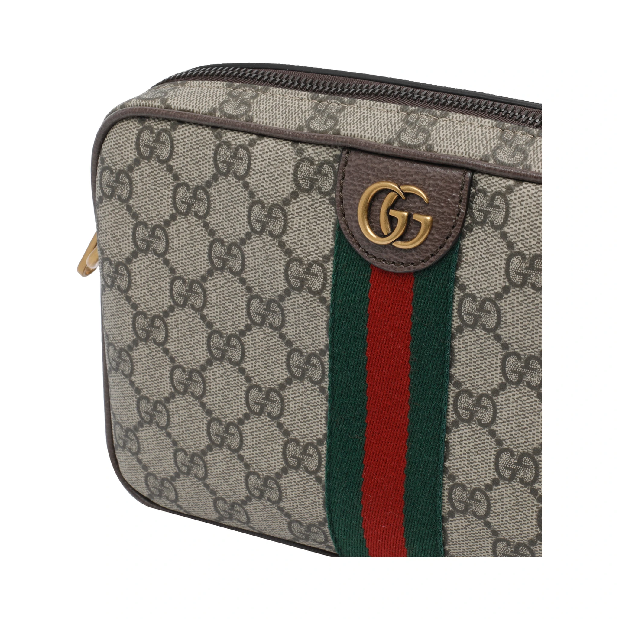 Brown Small Ophidia crossbody bag