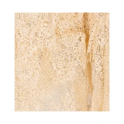 Rixo Top Beige