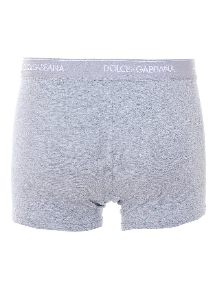 Dolce & Gabbana Underwear Grey alternative