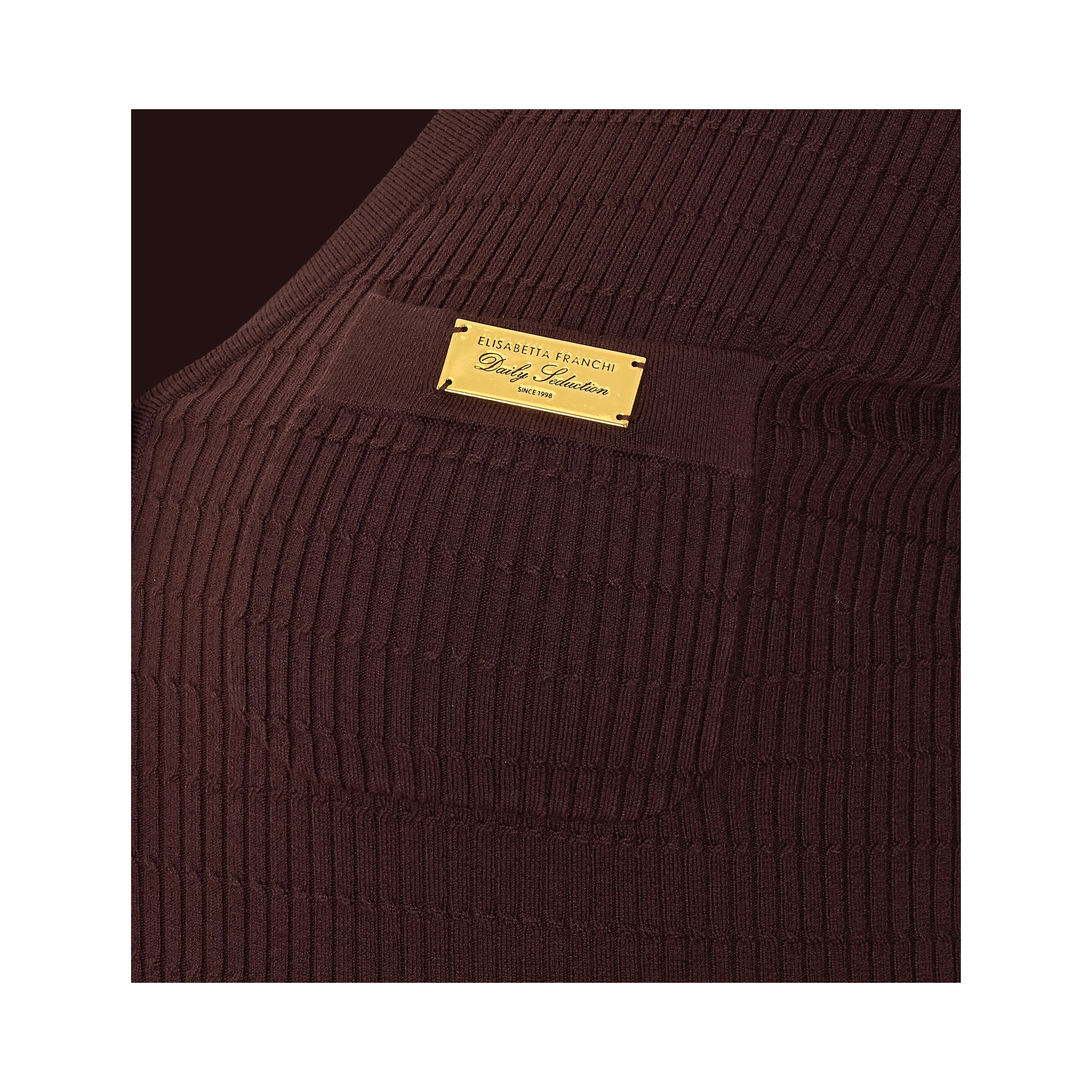 Elisabetta Franchi Sweaters Brown