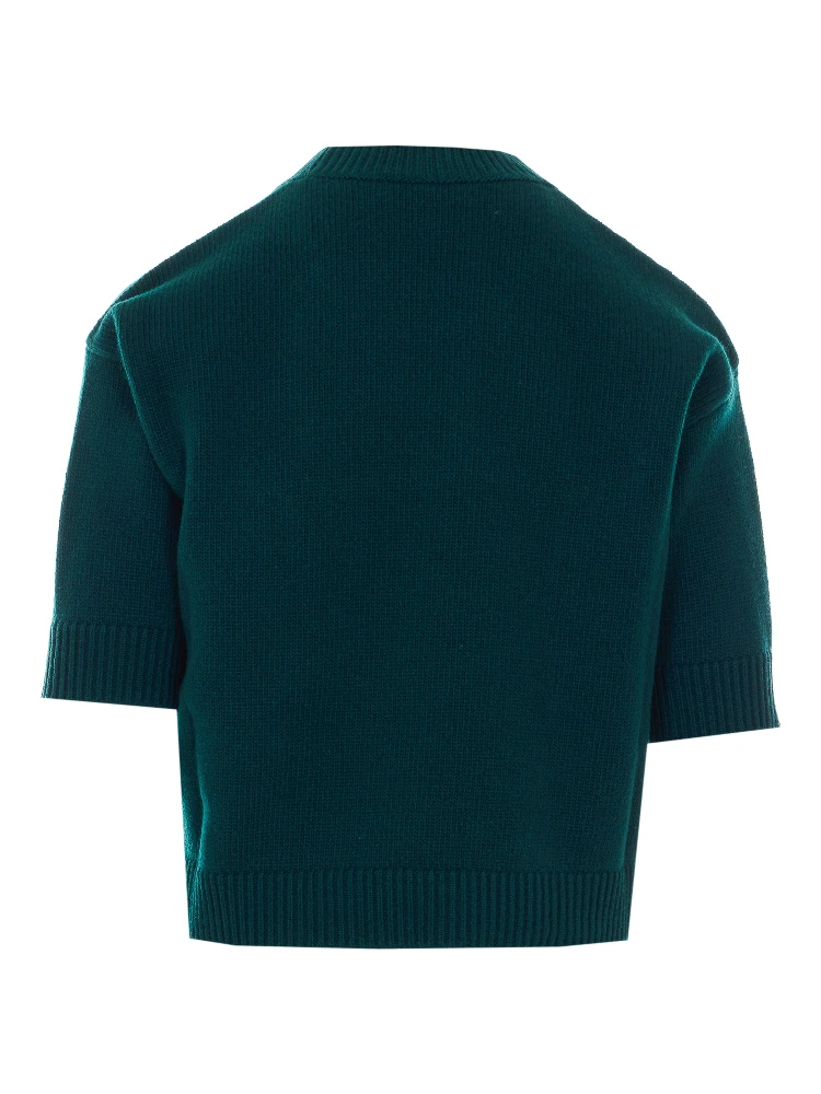 Gucci Top Green alternative