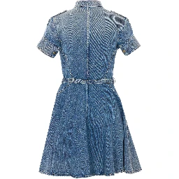 Alexander McQueen Dresses Blue