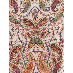 Etro Scarfs MultiColour