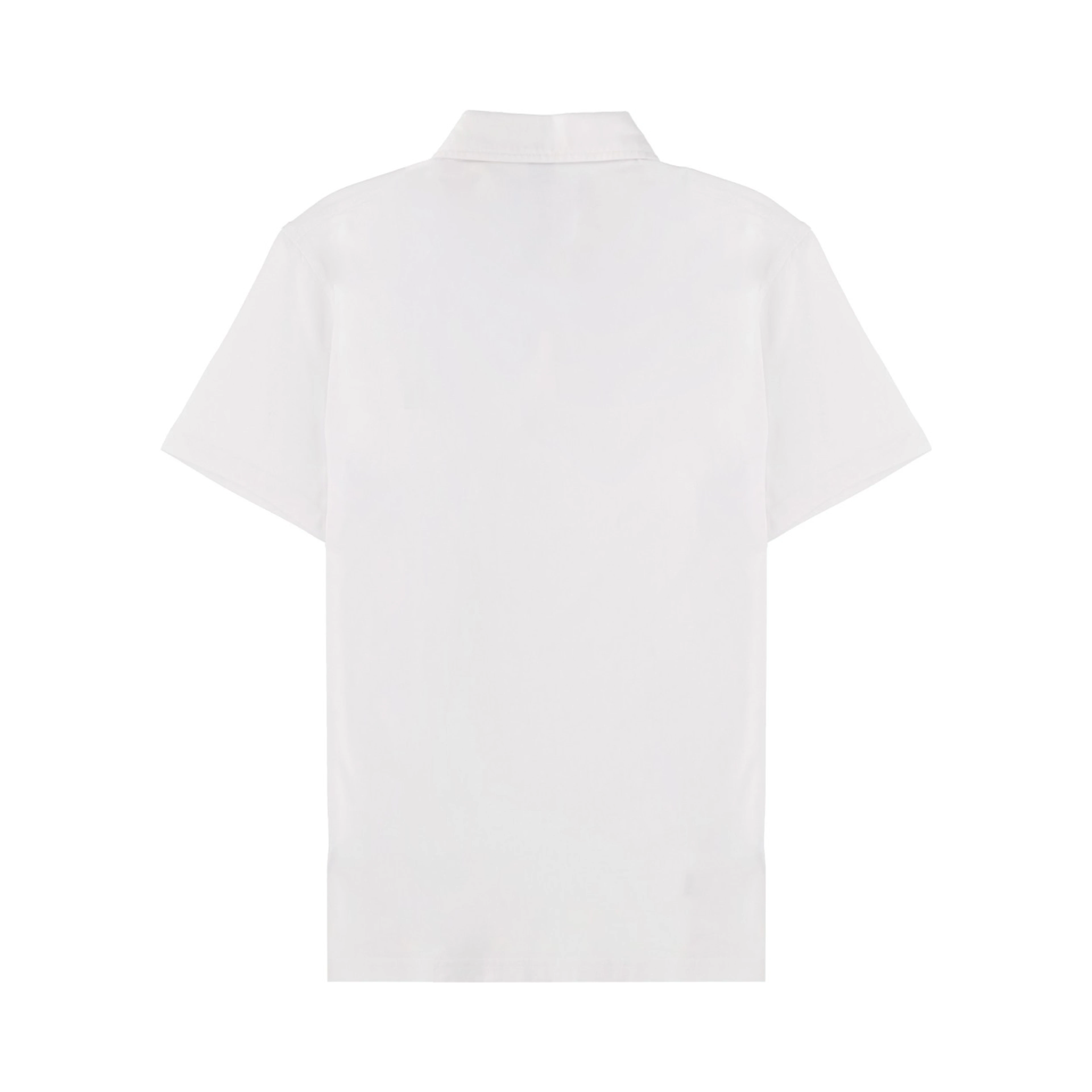 COTTON POLO