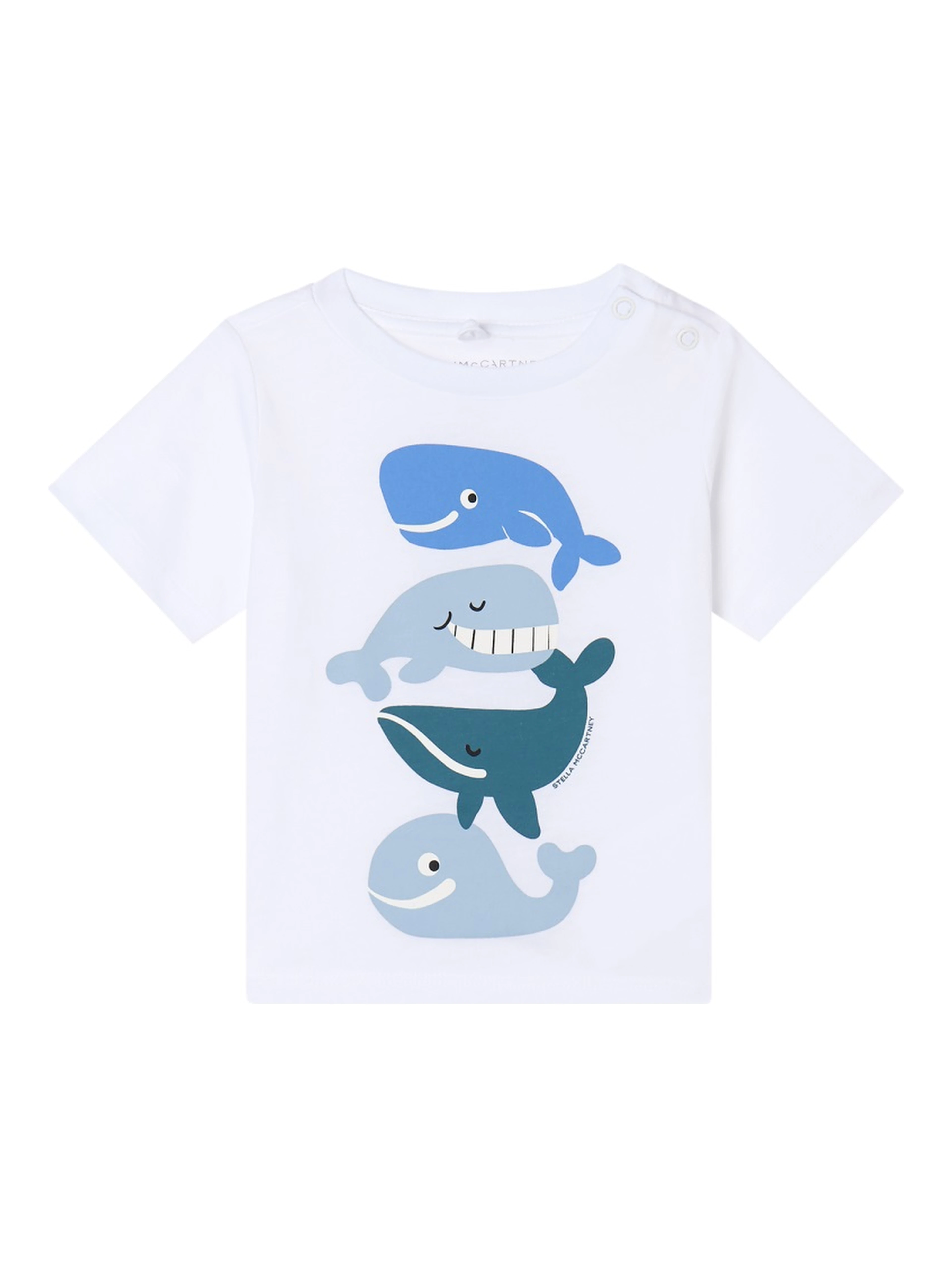 "SEALIFE" T-SHIRT