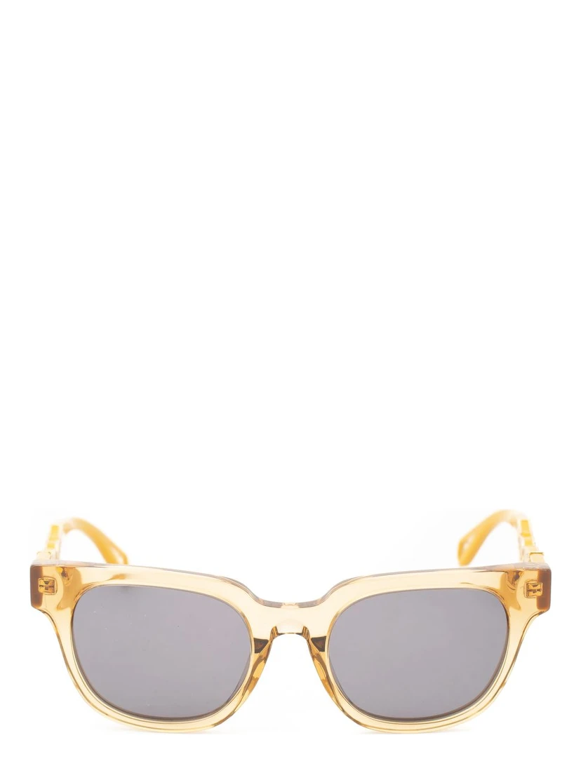 Brown Acetate Sunglasses