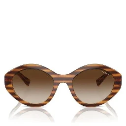Brown Resin Sunglasses