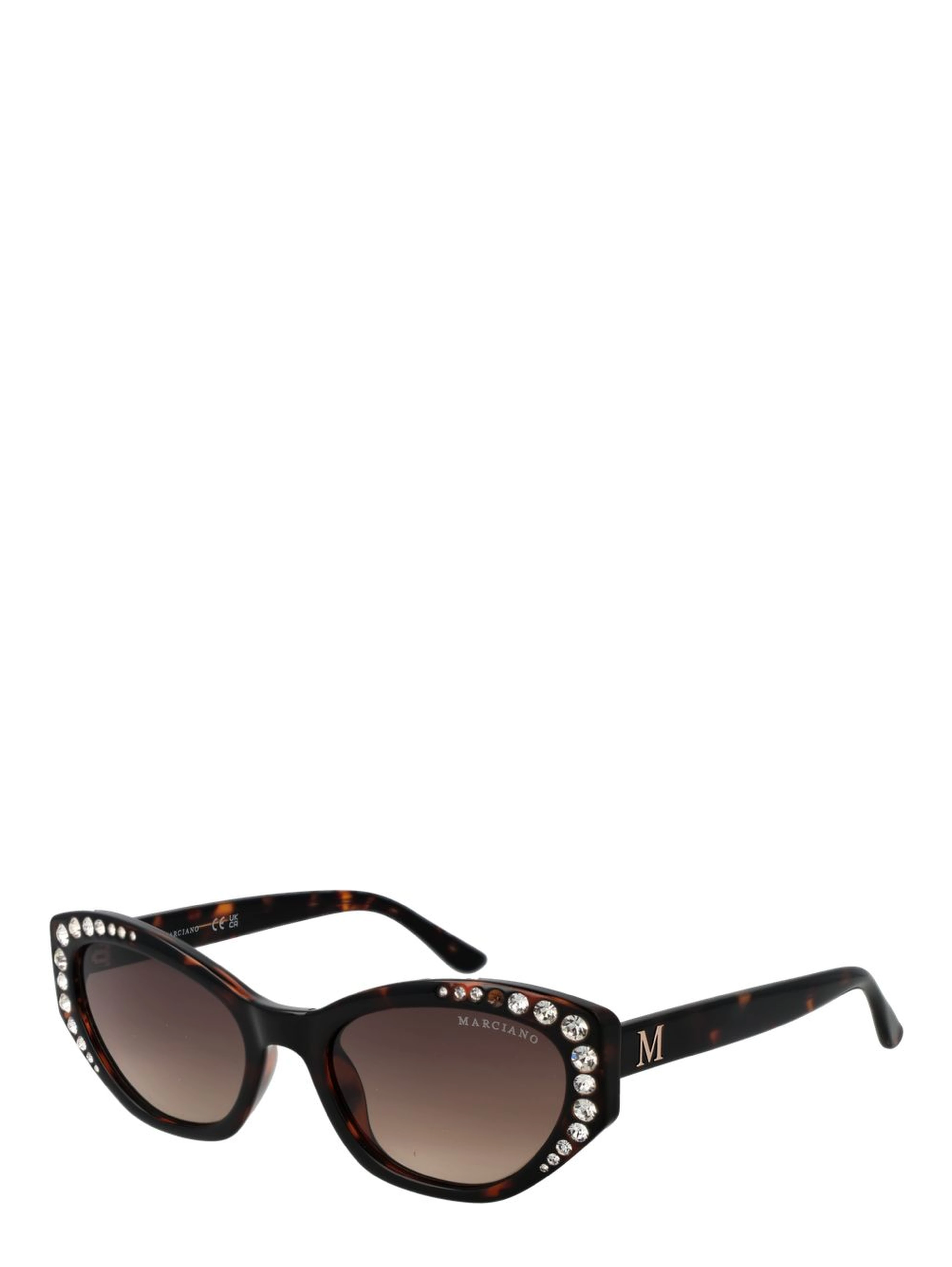Brown Plastic Sunglasses