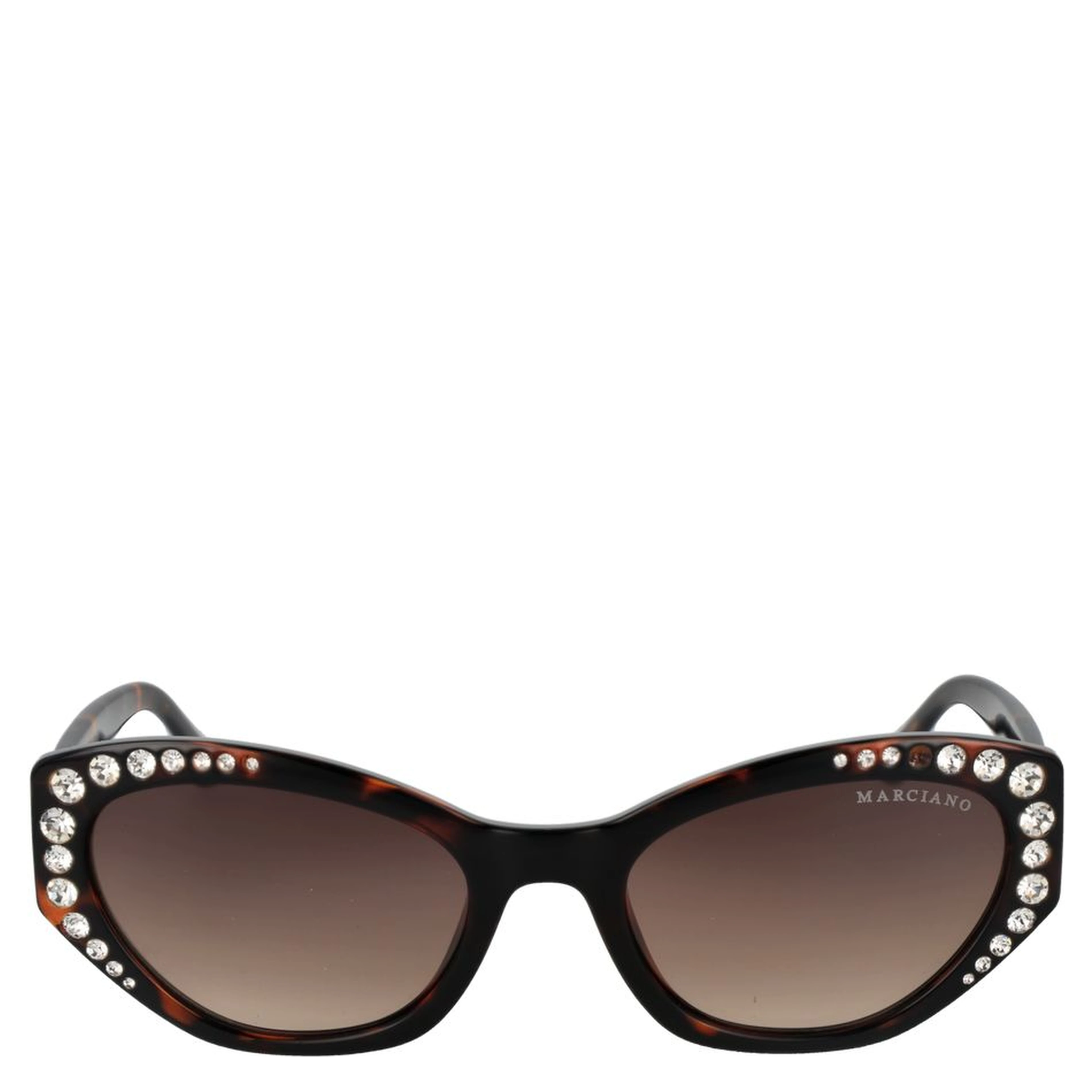 Brown Plastic Sunglasses