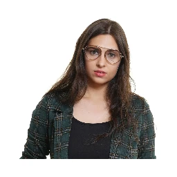 Brown Metal & Plastic Glasses (Frames)