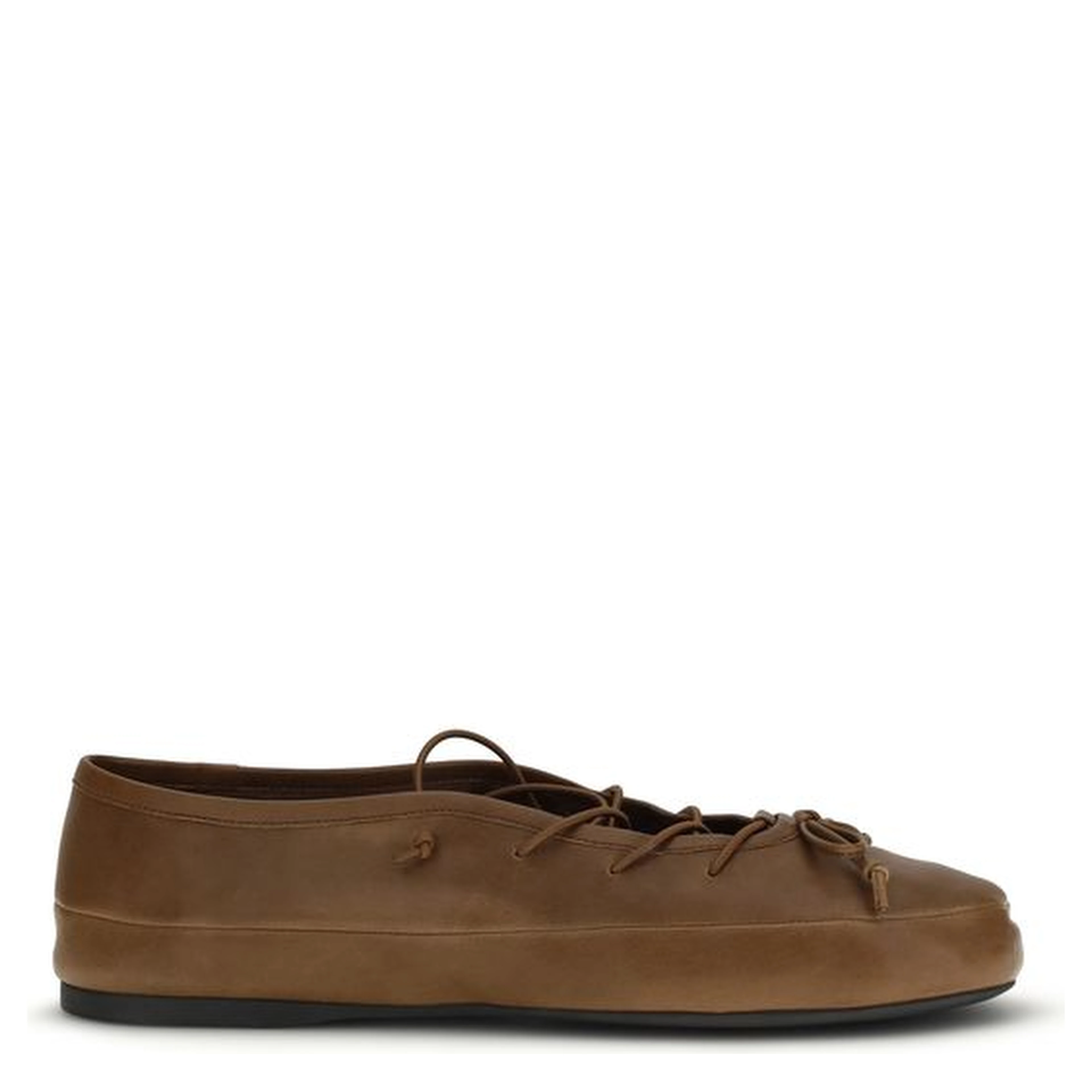 Brown Lamb Ovis Aries Aries Ballet Flats