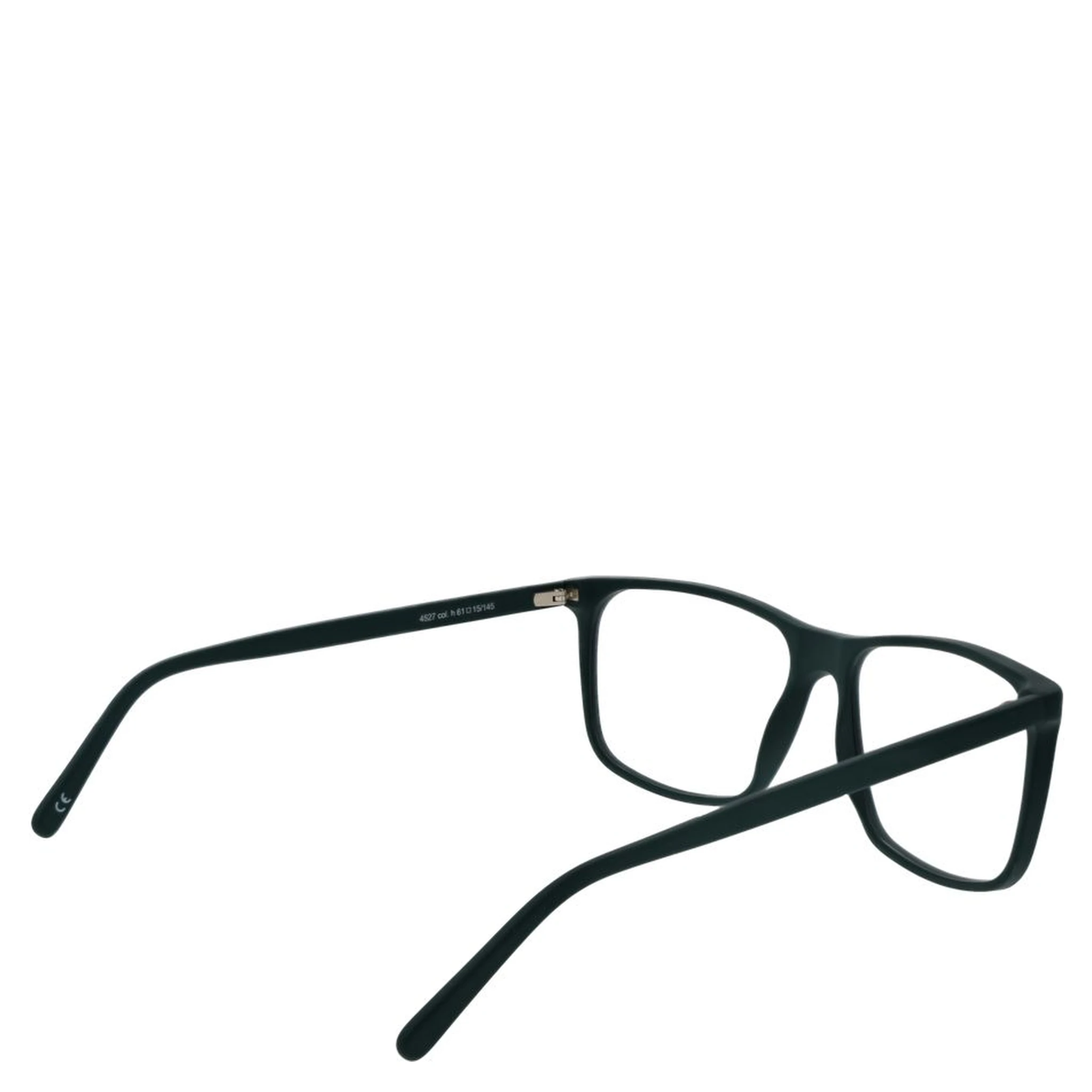Bicolor Acetate Glasses (Frames)
