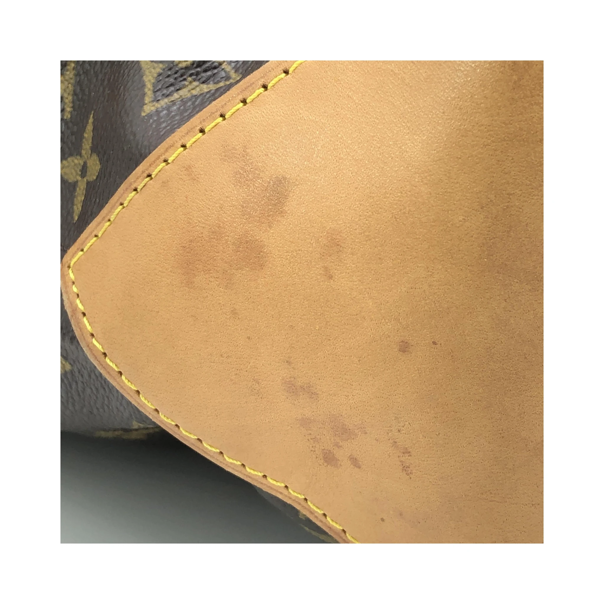 Monogram Cabas Mezzo Tote Handbag