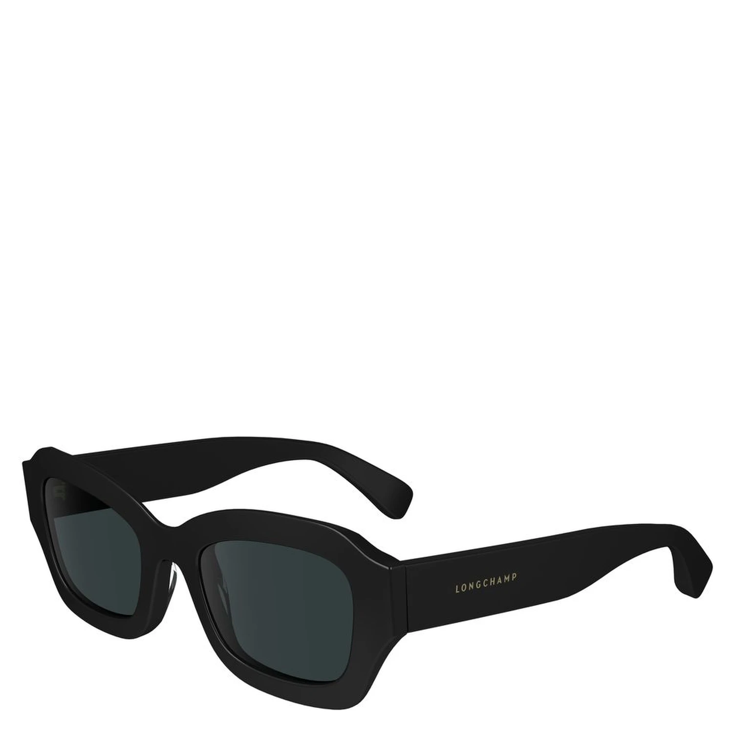 Black Acetate Sunglasses